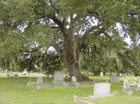 Cemetery And Funeral Home Records